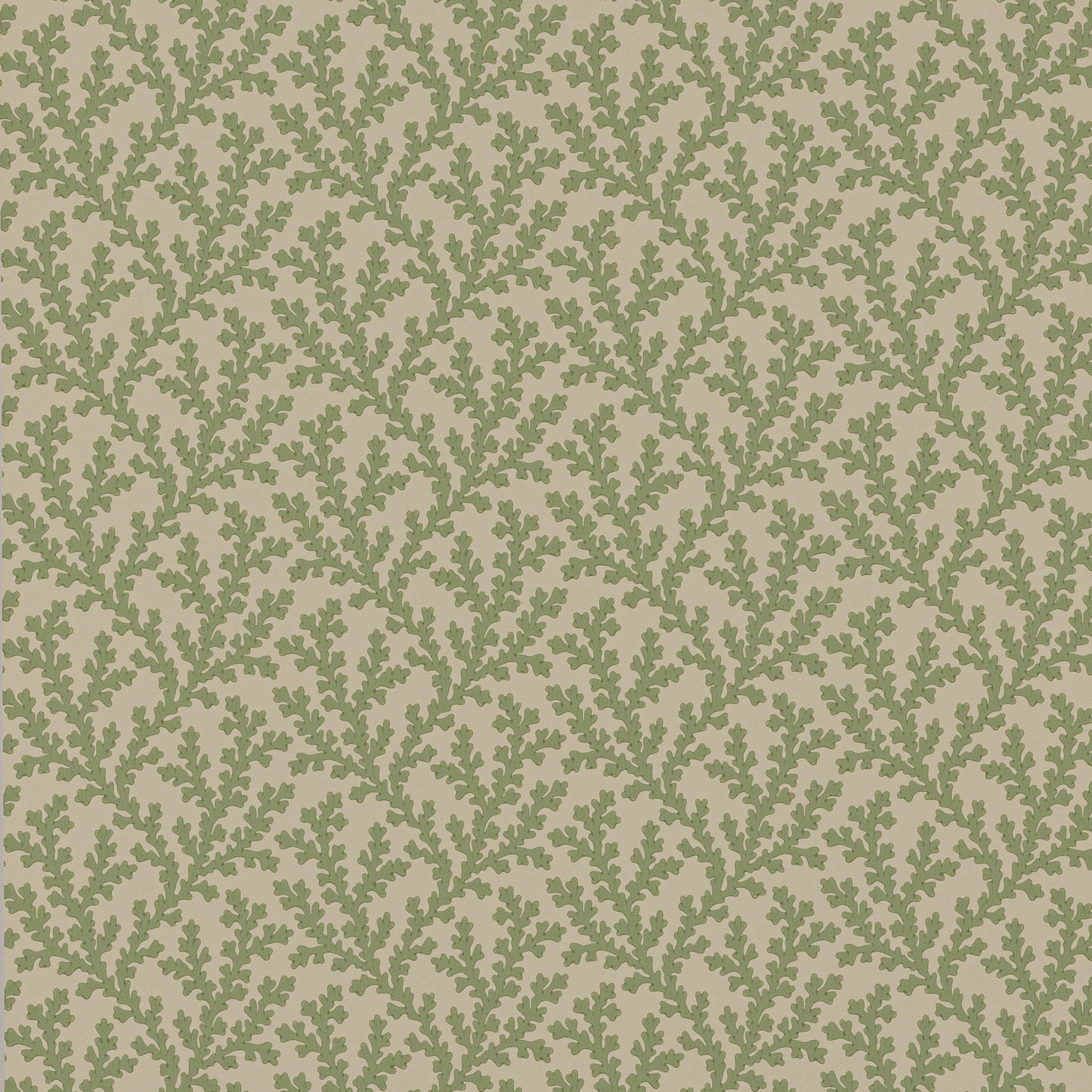 Sea Coral Wallpaper - Green