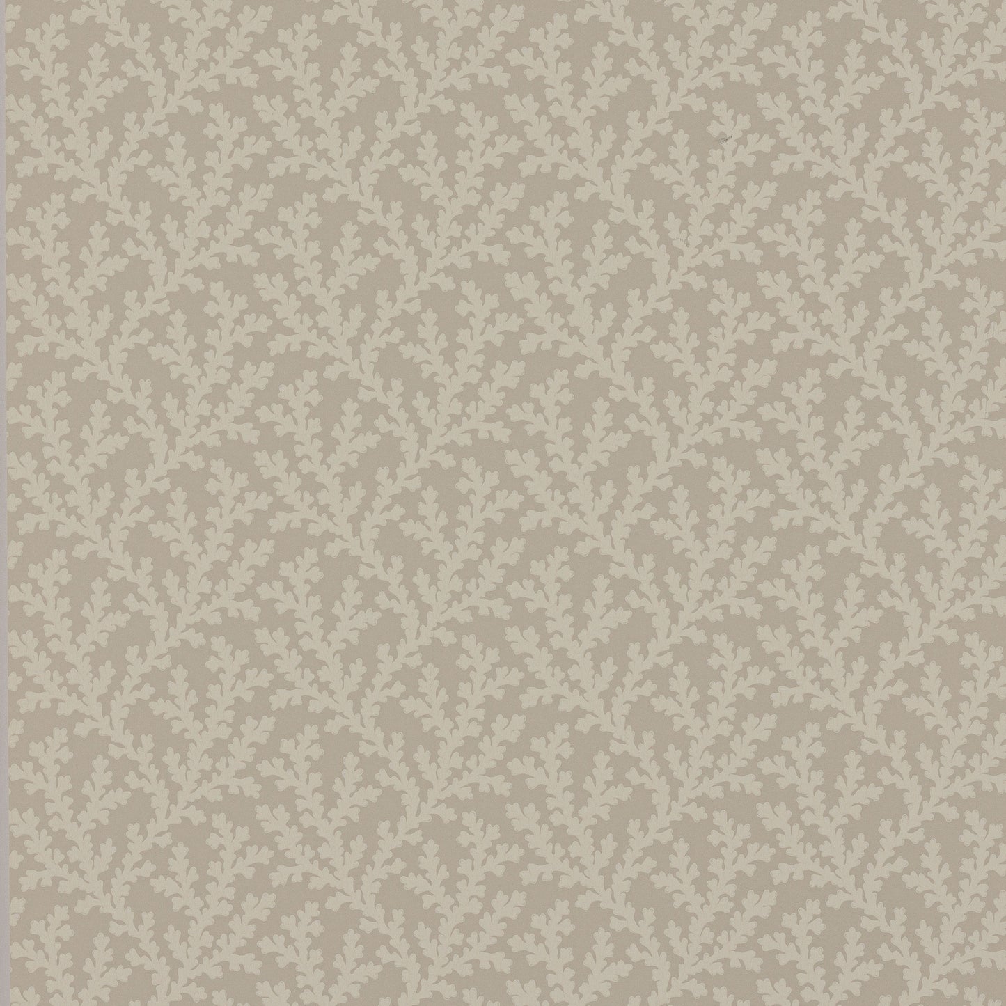 Sea Coral Wallpaper - Cream