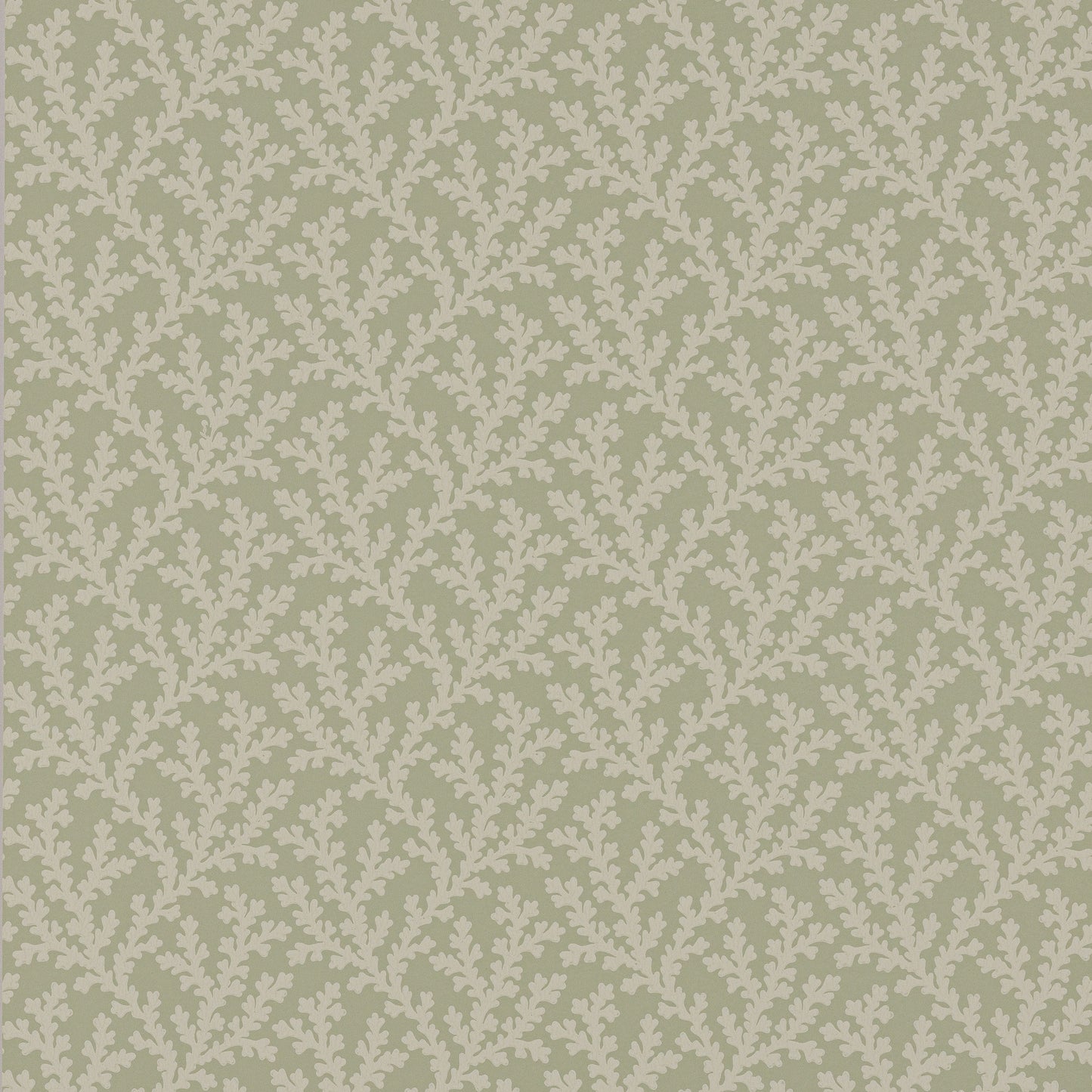 Sea Coral Wallpaper - Gray