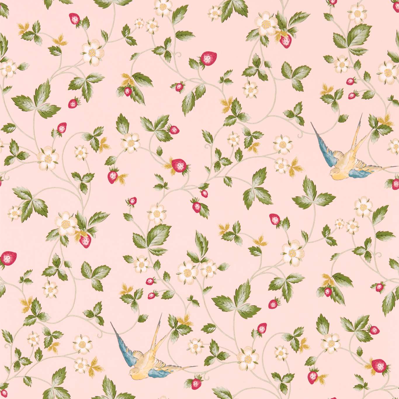 Wild Strawberry Wallpaper - Blush - Clarke & Clarke