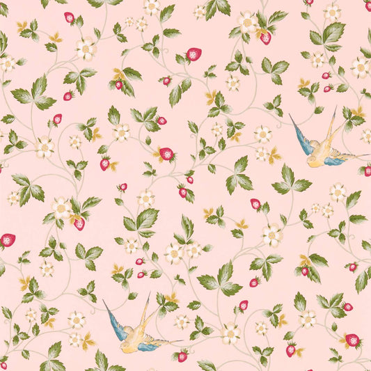 Wild Strawberry Wallpaper - Blush - Clarke & Clarke