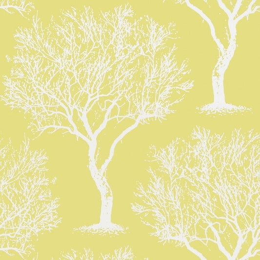 Winfell Forest Wallpaper - Citron - AT6003 - Anna French