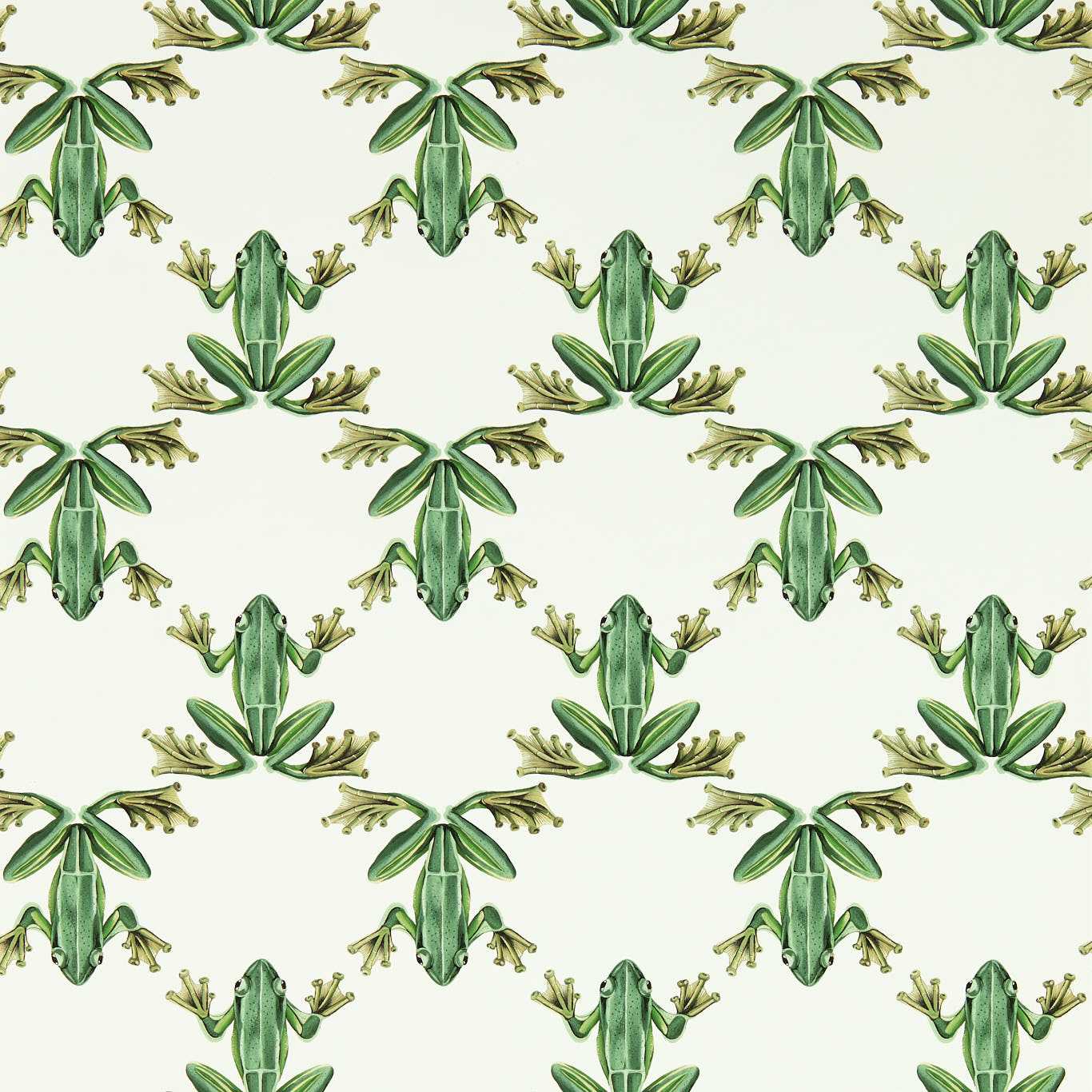 Wood Frog Wallpaper - Forest/Chalk - HC4W113011 - Harlequin