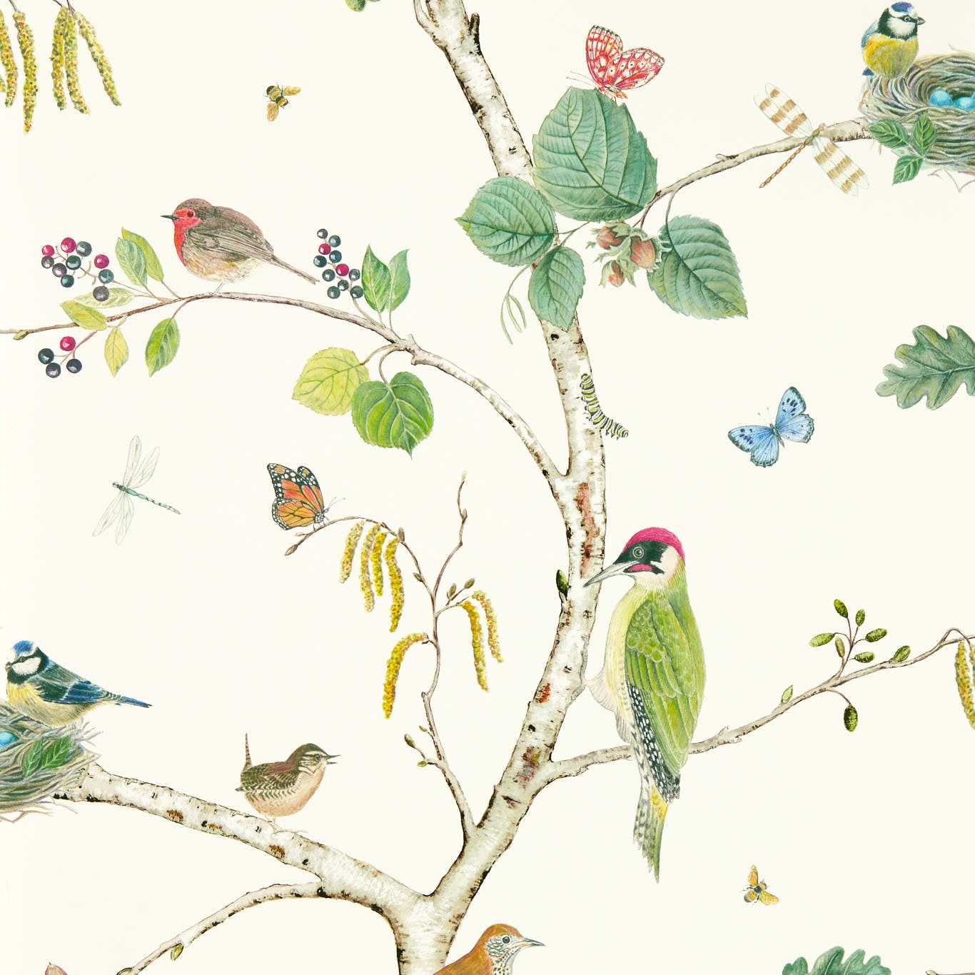 Woodland Chorus Wallpaper - Botanical/Multi - DABW217230 - Sanderson