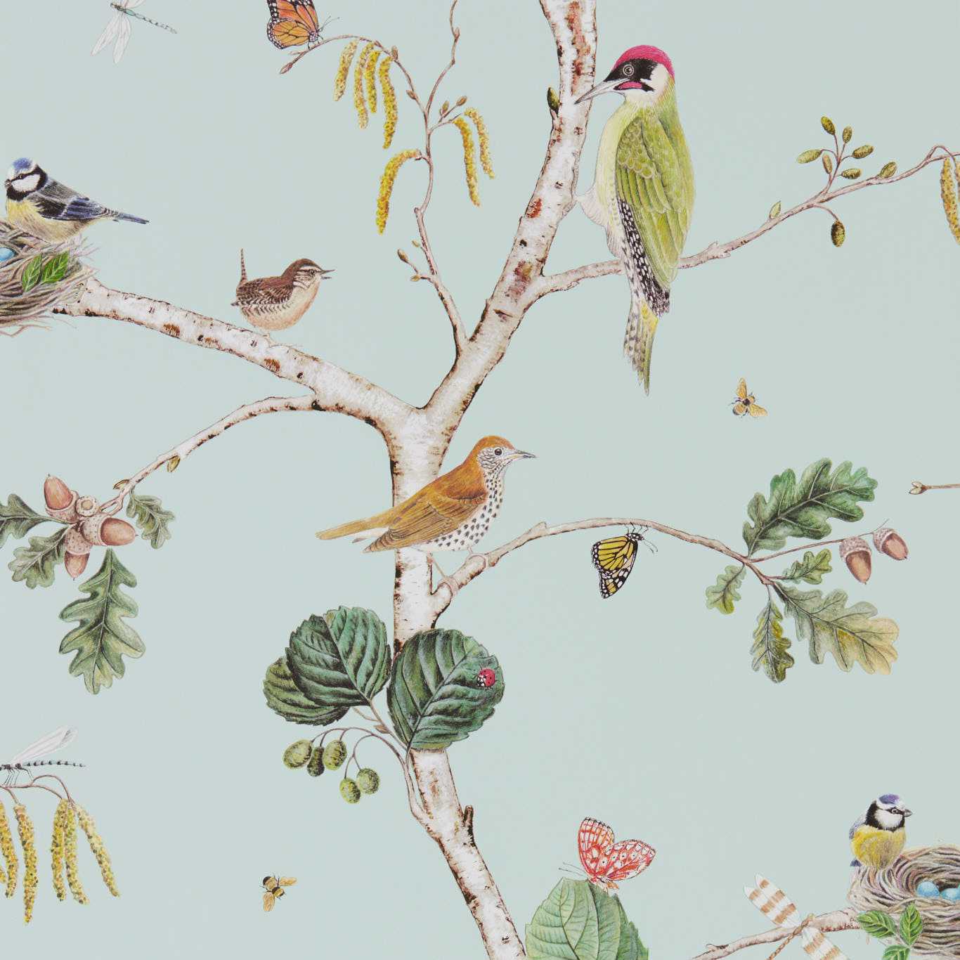 Woodland Chorus Wallpaper - Sky Blue/Multi - DWOW215706 - Sanderson