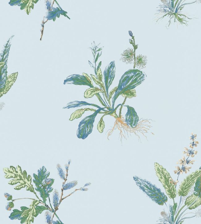 Woodland Wallpaper - Blue and Green - AT57851 - Anna French