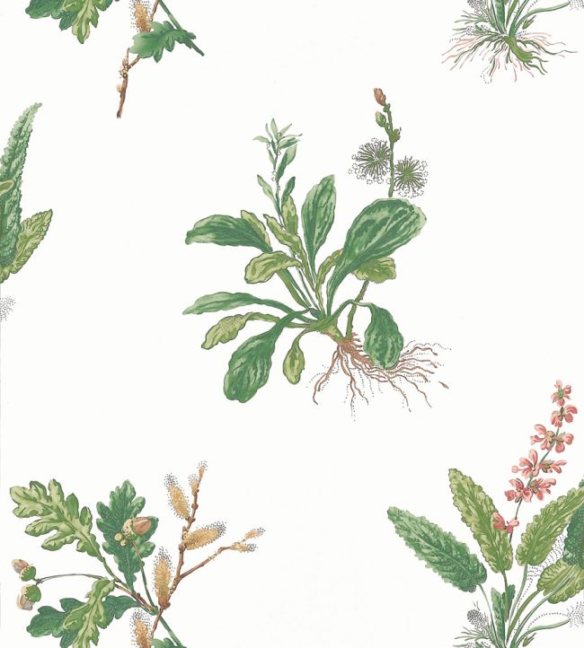 Woodland Wallpaper - Green and Blush - AT57852 - Anna French