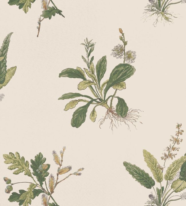 Woodland Wallpaper - Green on Natural - AT57853 - Anna French