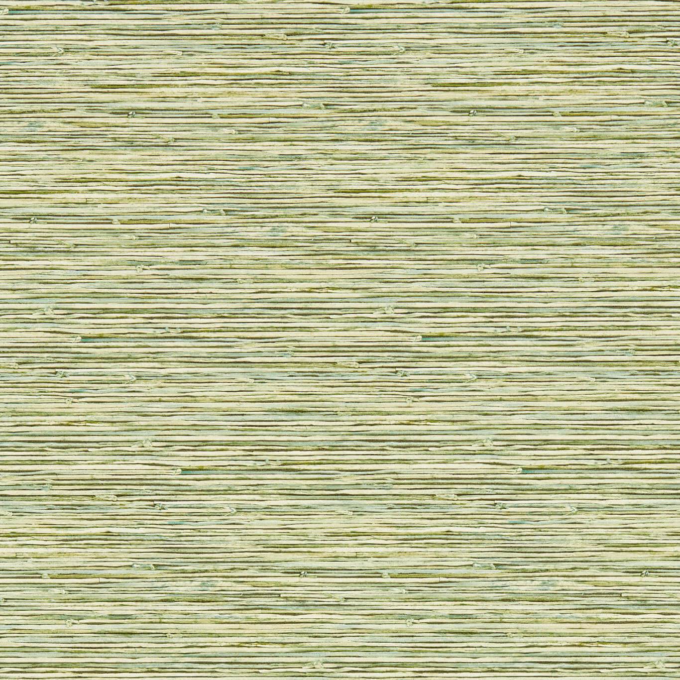 Xan Wallpaper - Palm - Clarke & Clarke
