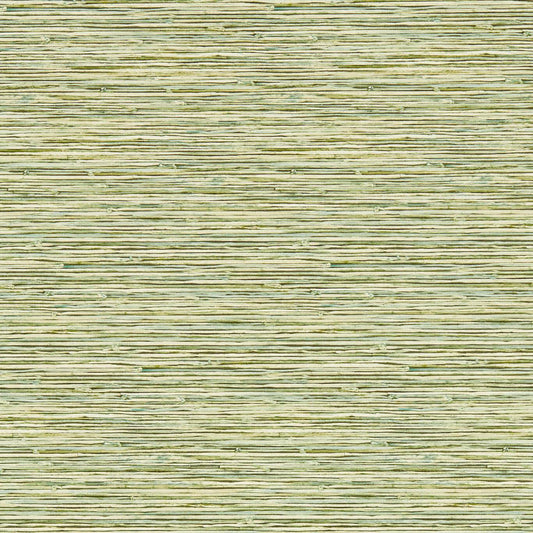 Xan Wallpaper - Palm - Clarke & Clarke