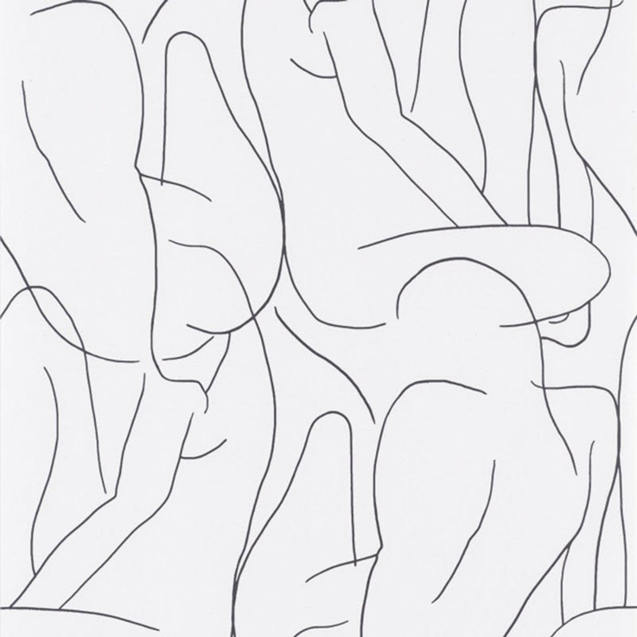 Academie Gallery Wallpaper - Noir And Blanc - Casadeco - 86100522 - Premier Wallcovering