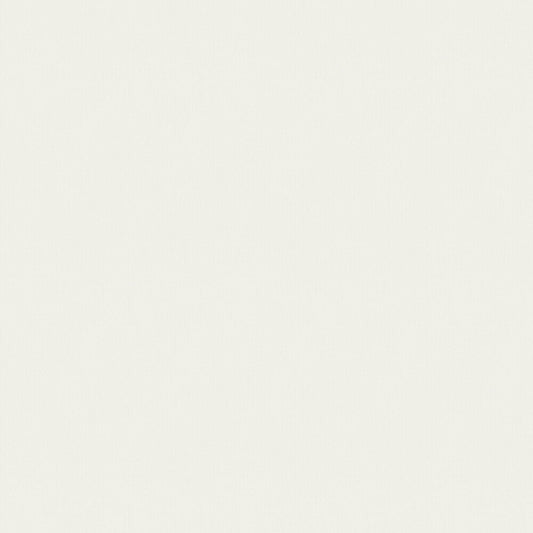 Adam Wallpaper - Chalk White - Boråstapeter - 38717 - Premier Wallcovering