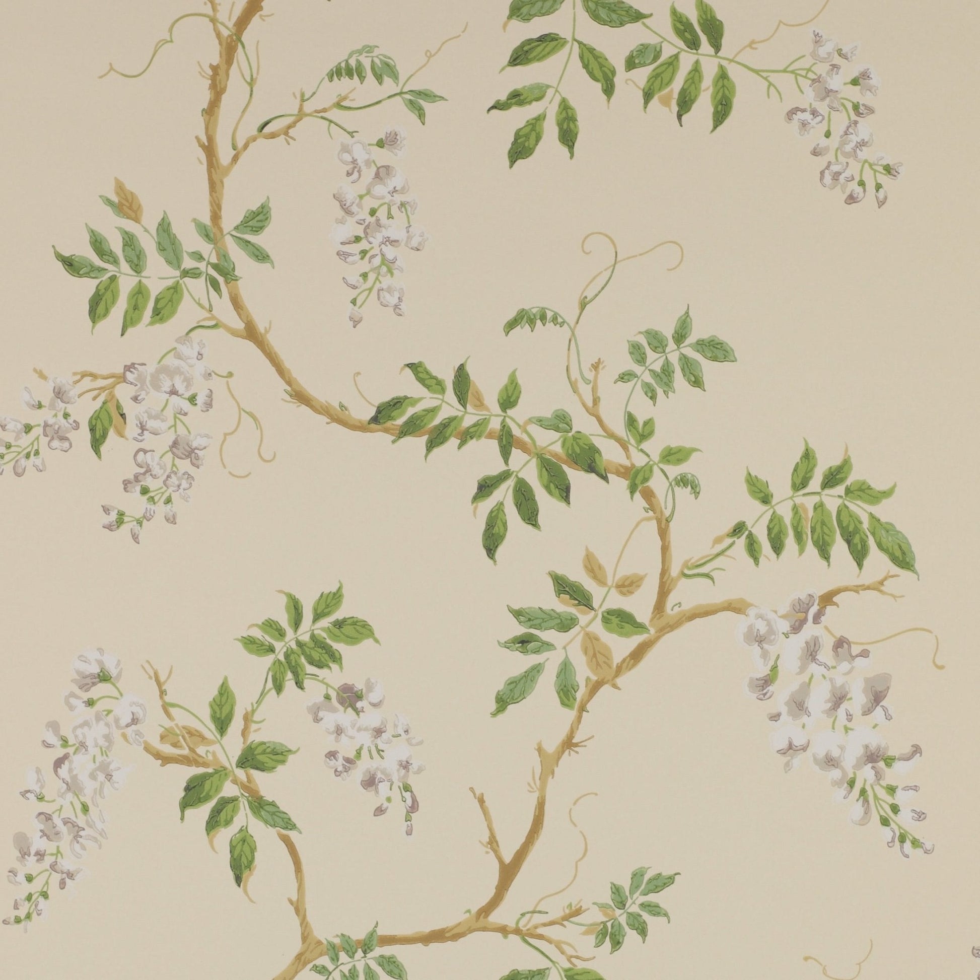 Alderney Wallpaper - Cream - Colefax & Fowler - 07963/02