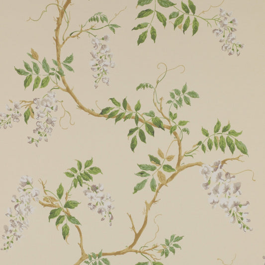 Alderney Wallpaper - Cream - Colefax & Fowler - 07963/02