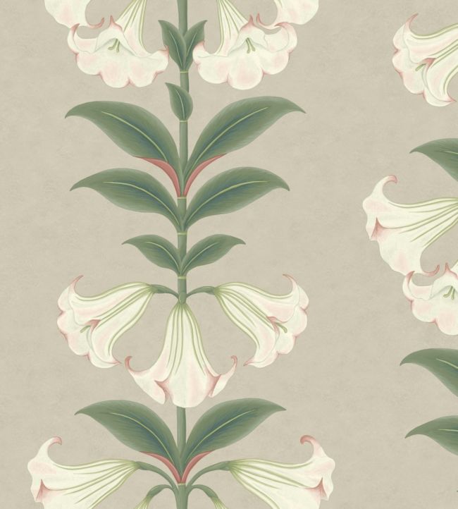 Angels Trumpet Wallpaper - Chalk & Sage on Stone - 117/3007 - Cole & Son - Premier Wallcovering