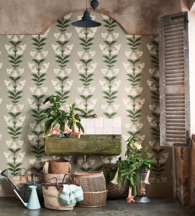 Angels Trumpet Wallpaper - Cream & Olive Green on Charcoal - 117/3006 - Cole & Son - Premier Wallcovering