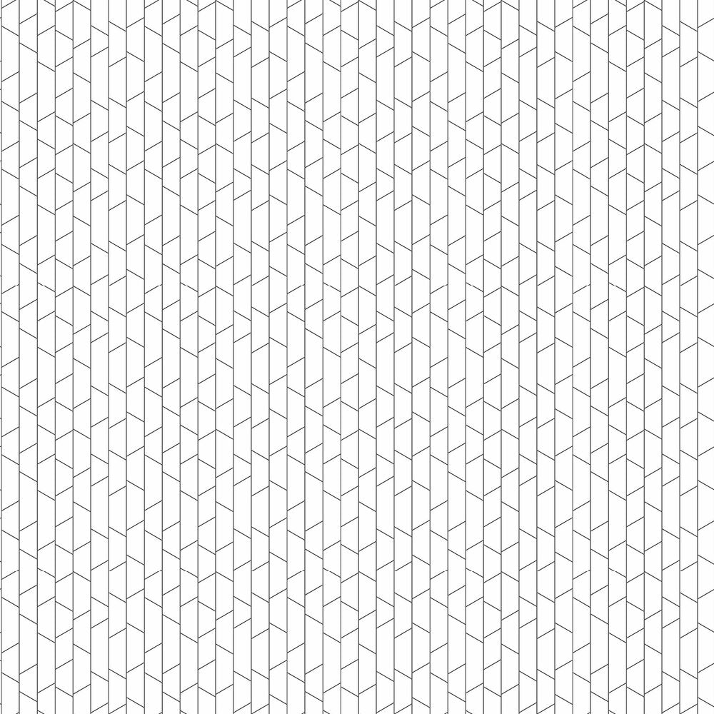 Angle Wallpaper - Black / White - Boråstapeter - 4738 - Premier Wallcovering