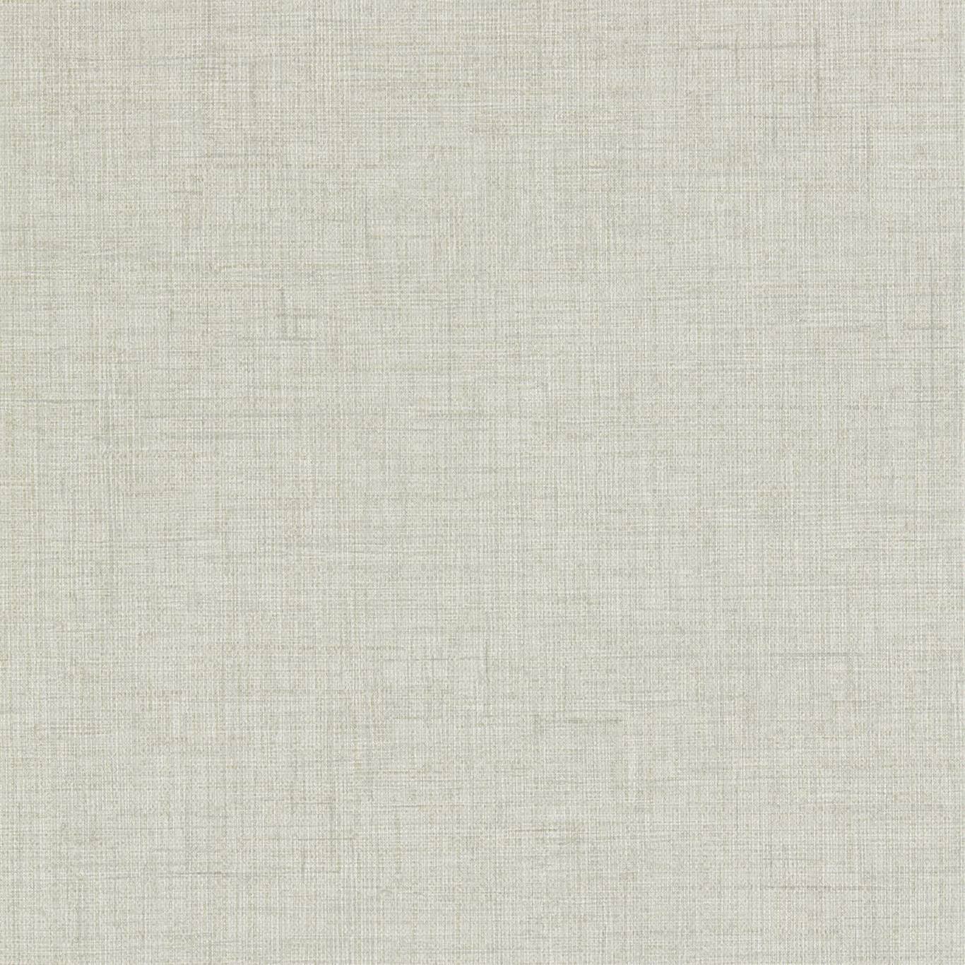 Anthology Seri Raphia Wallpaper - Mist - EANW112596 - Harlequin - Premier Wallcovering