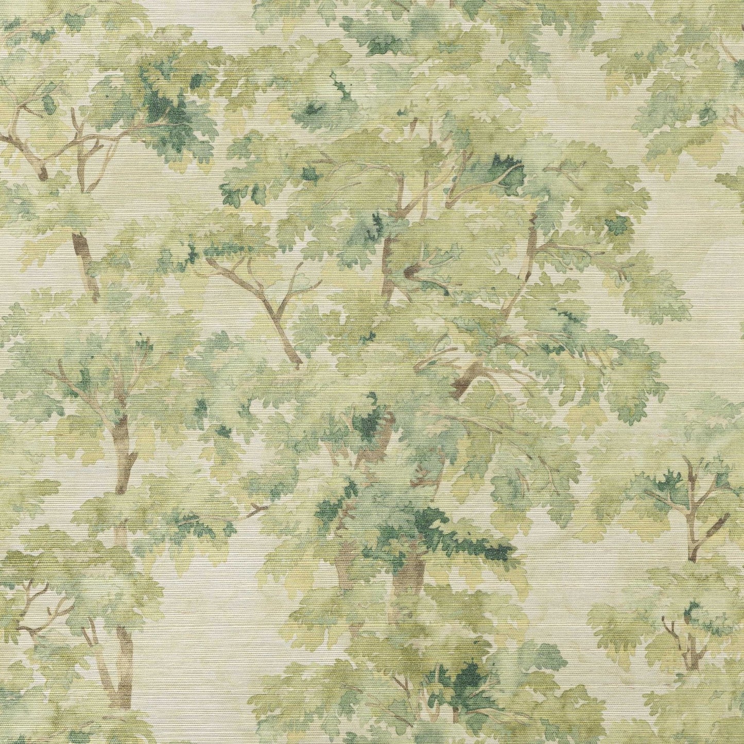 Arbour Sisal Wallpaper - Olive Green - Colefax & Fowler - W7025-03