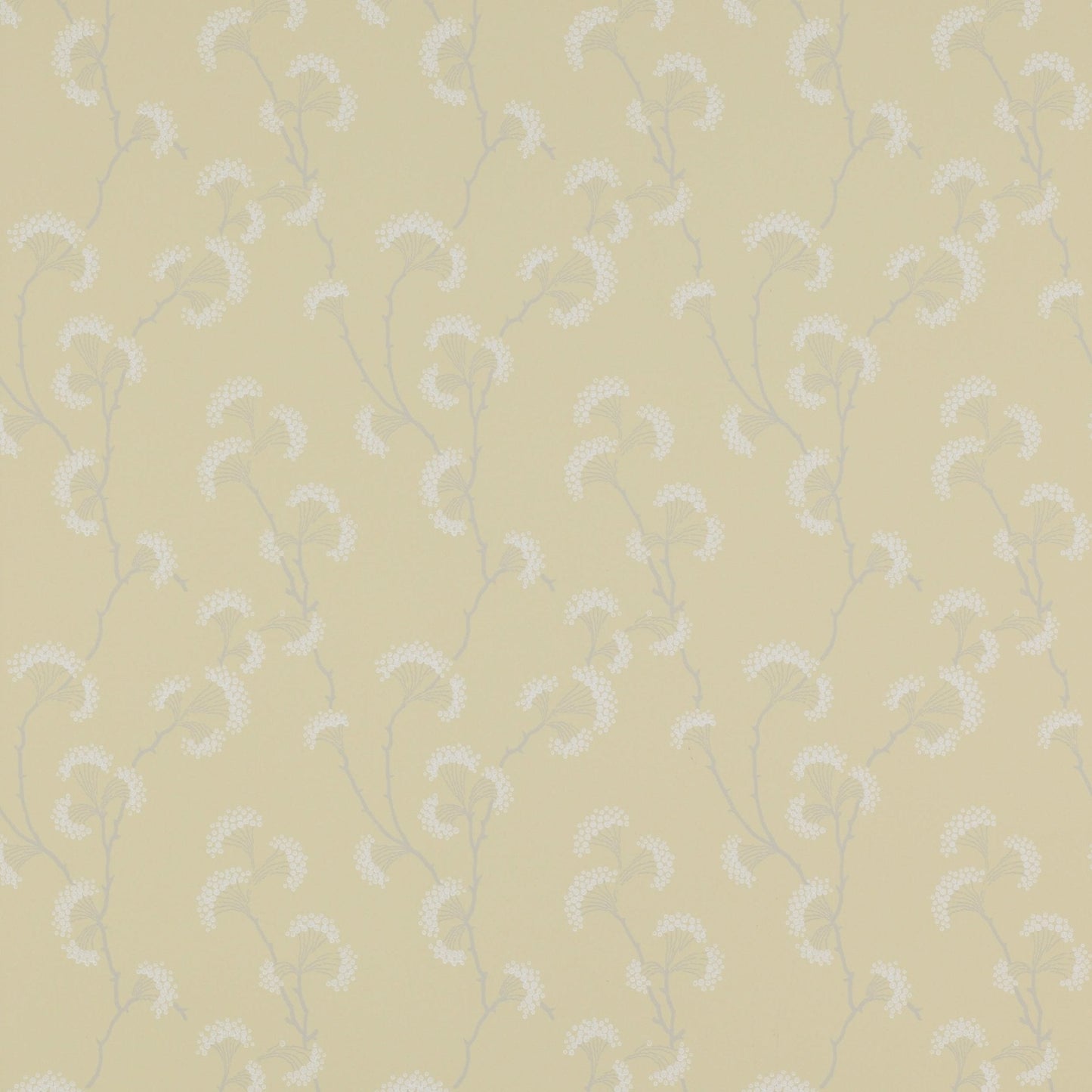 Ashbury Wallpaper - Yellow - Colefax & Fowler - 07982/04