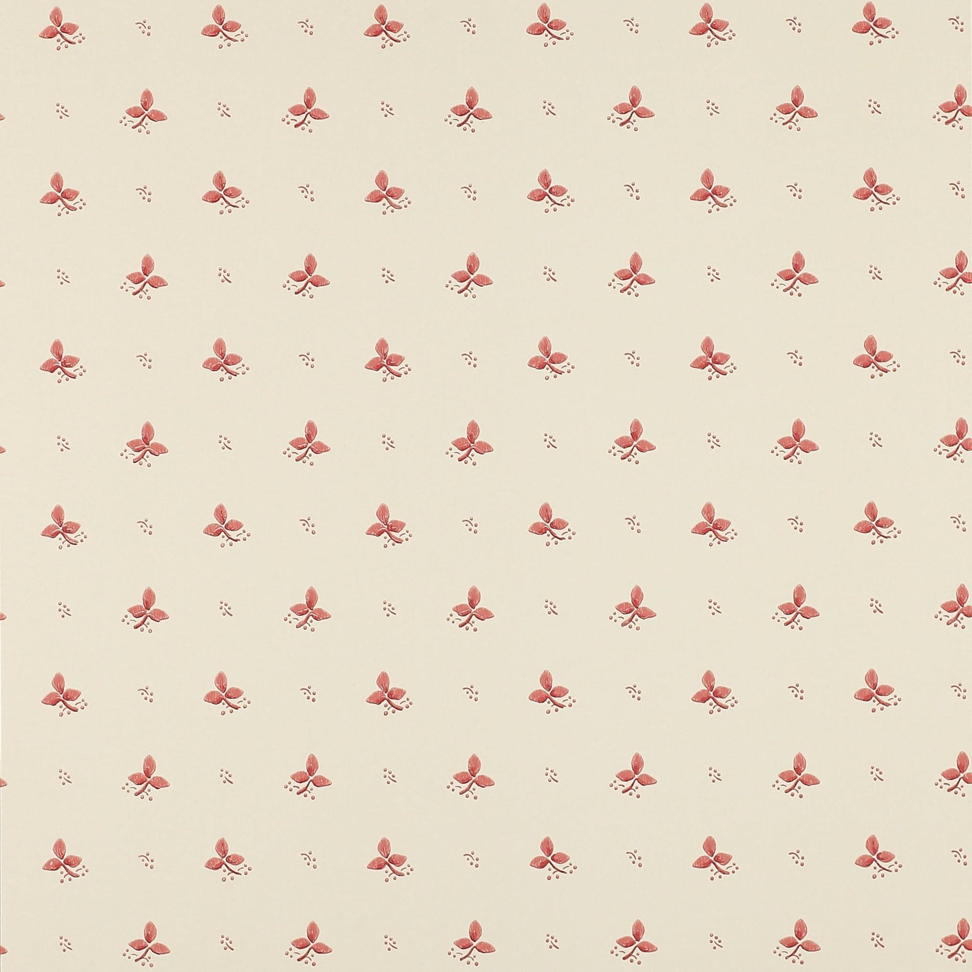 Ashling Wallpaper - Pink - Colefax & Fowler - 07406/04