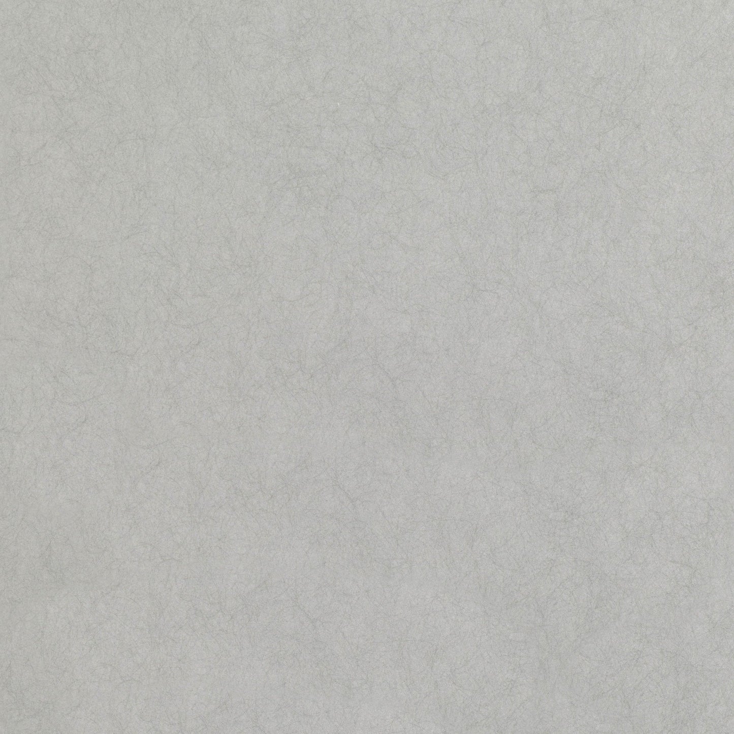 Asper Wallpaper - Silver - Romo - Lomasi - W399/06 - Premier Wallcovering