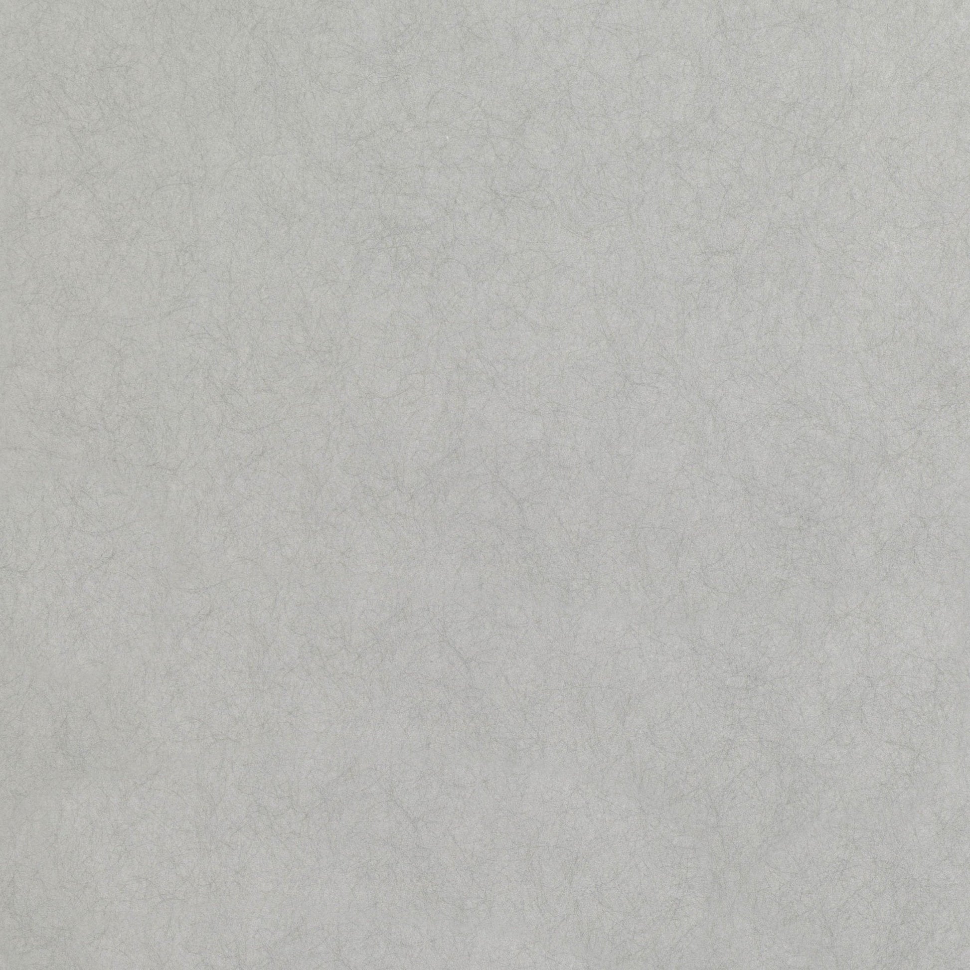 Asper Wallpaper - Silver - Romo - Lomasi - W399/06 - Premier Wallcovering