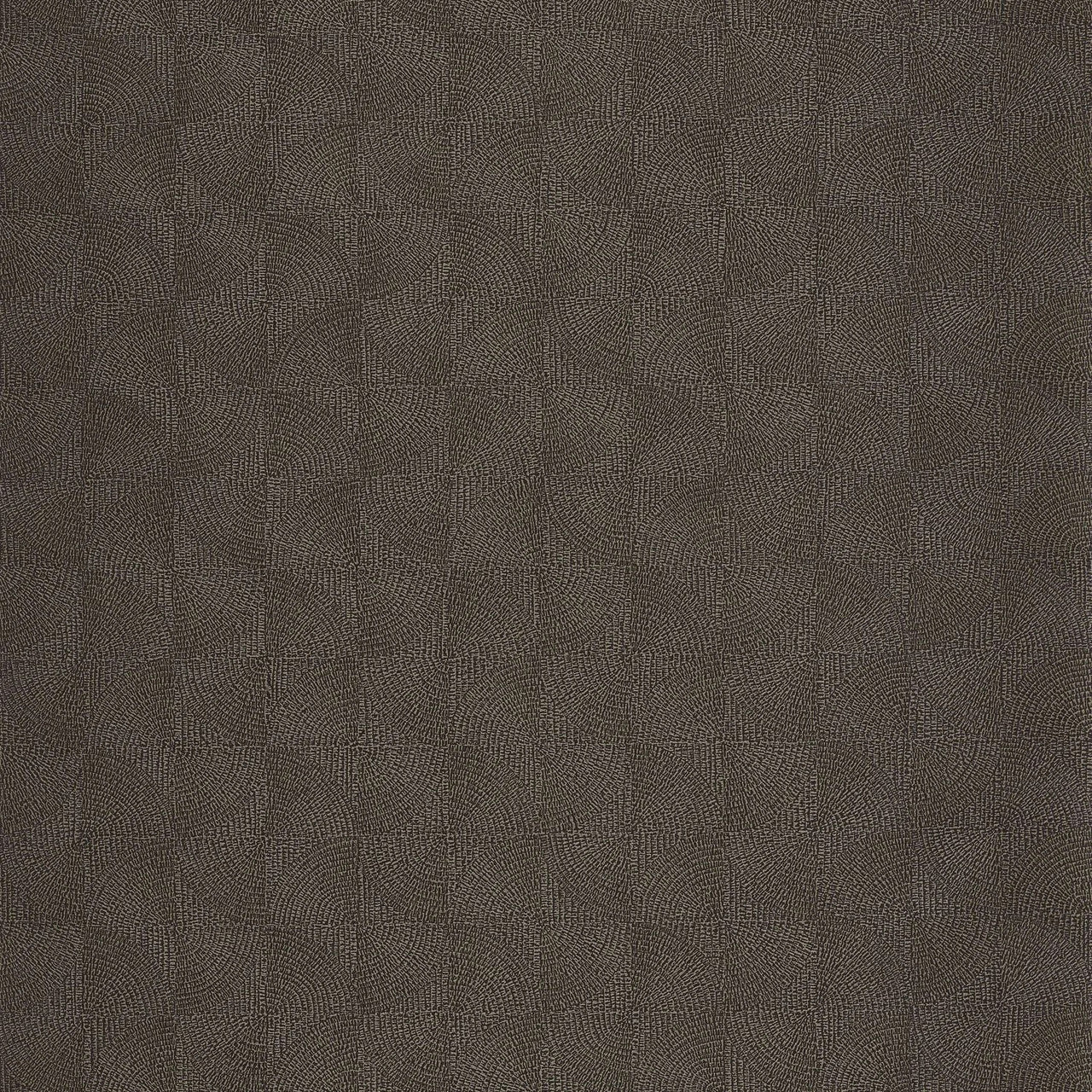 Asterios Solaris Wallpaper - Noir Fusain - Casadeco - 201889999 - Premier Wallcovering