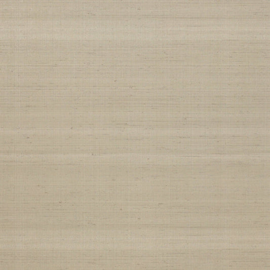 Astral Wallpaper - Stone - J158W - 02 - Jane Churchill