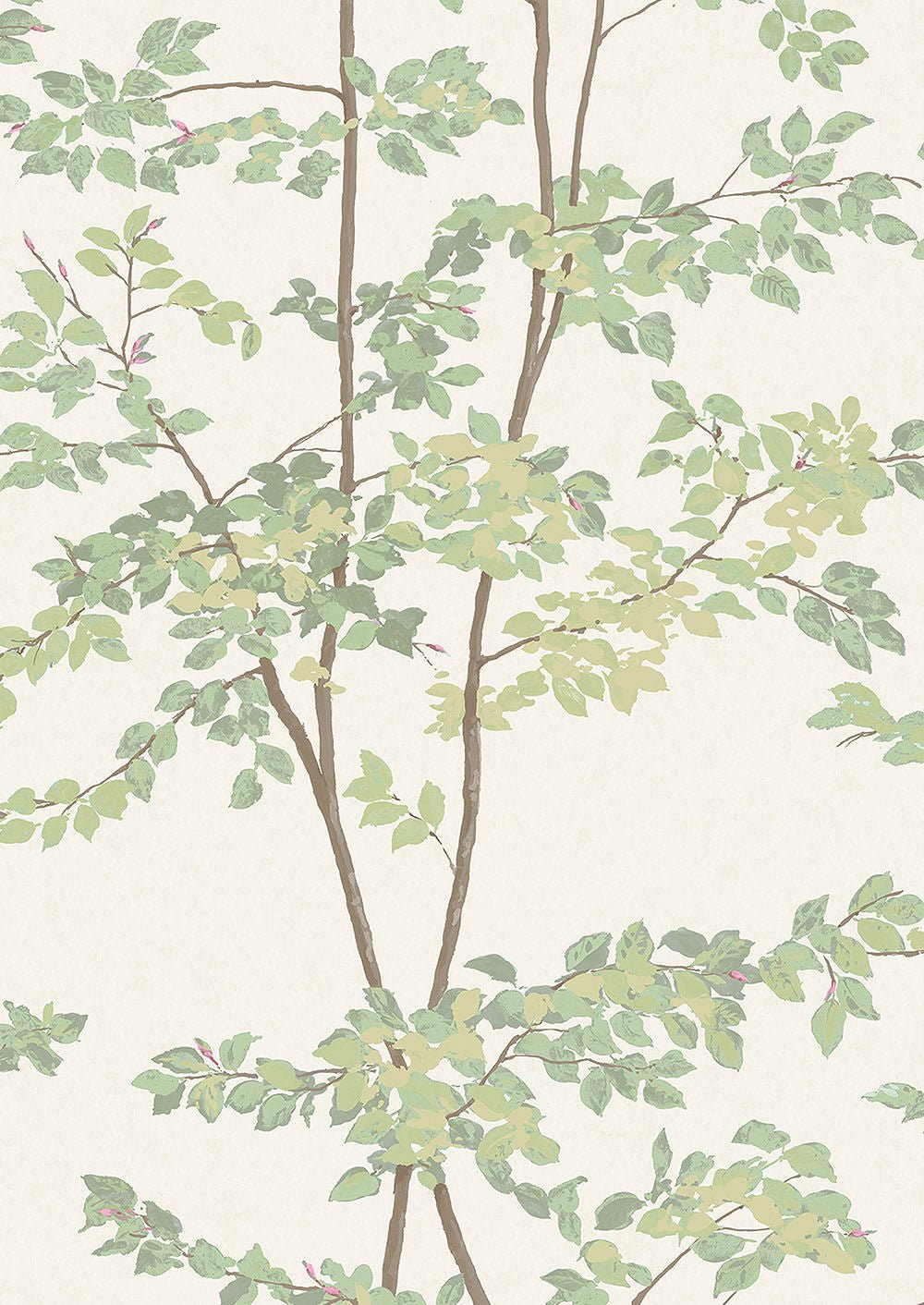 Beech Wallpaper - Document Green - Lewis & Wood - Premier Wallcovering