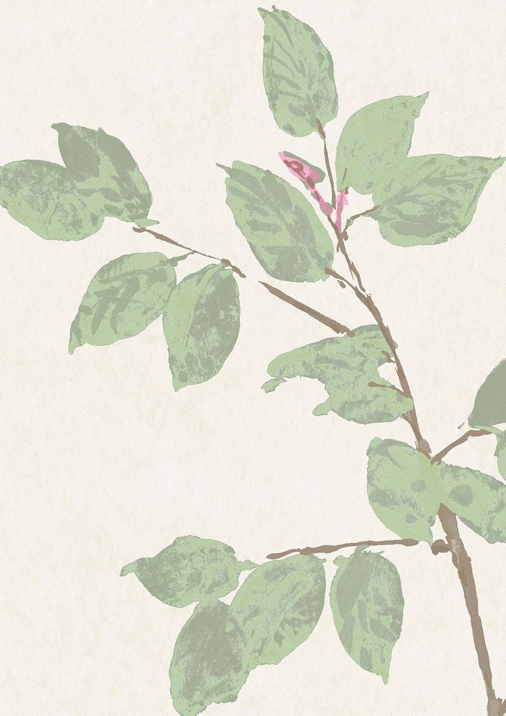 Beech Wallpaper - Document Green - Lewis & Wood - Premier Wallcovering