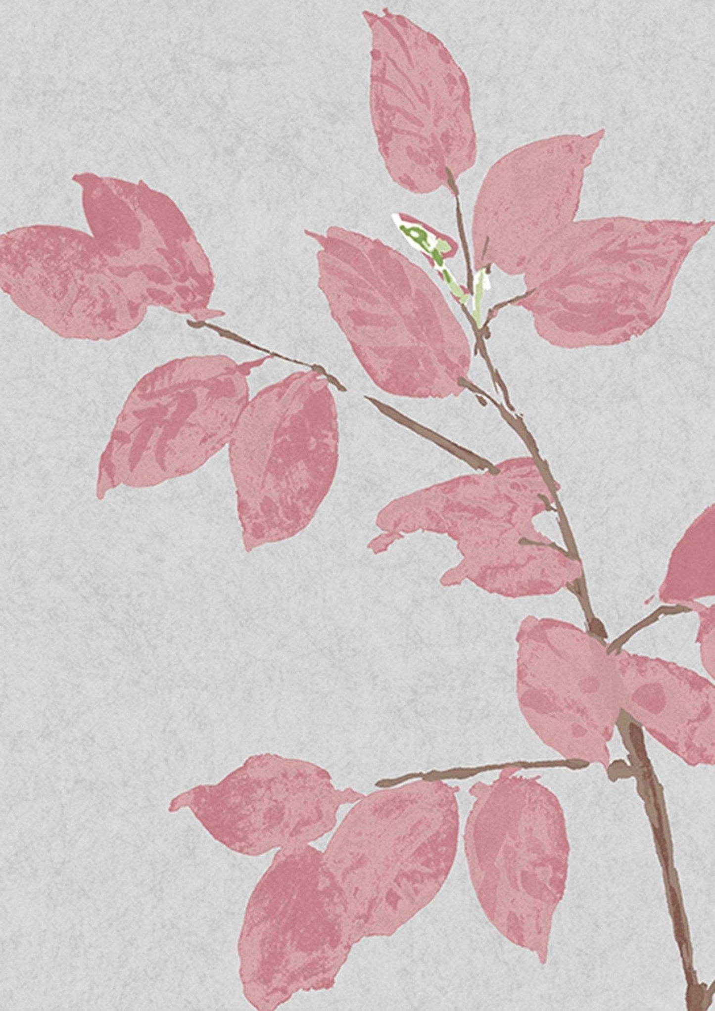 Beech Wallpaper - Rose - Lewis & Wood - Premier Wallcovering