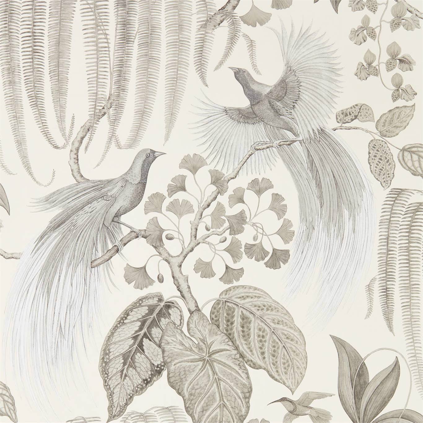 Bird Of Paradise Wallpaper - Linen - Sanderson - DGLW216652