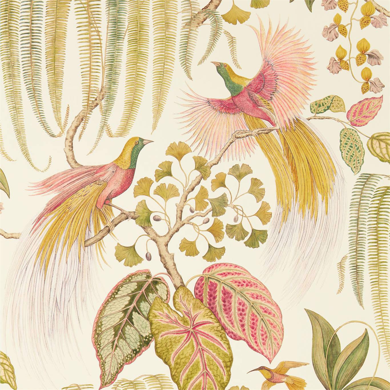 Bird Of Paradise Wallpaper - Olive - Sanderson - DGLW216653