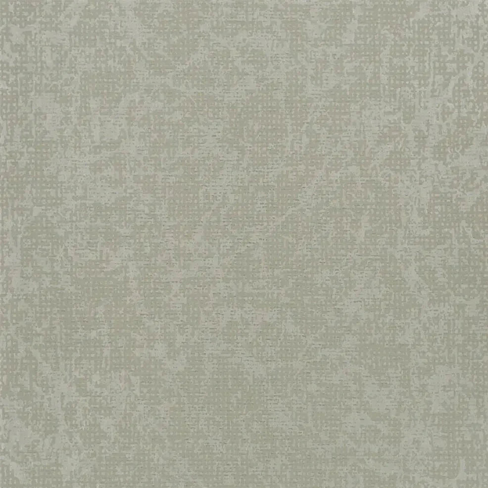 Boratti Wallpaper - Birch - PDG682/01 - Designers Guild