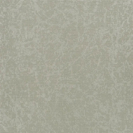 Boratti Wallpaper - Birch - PDG682/01 - Designers Guild