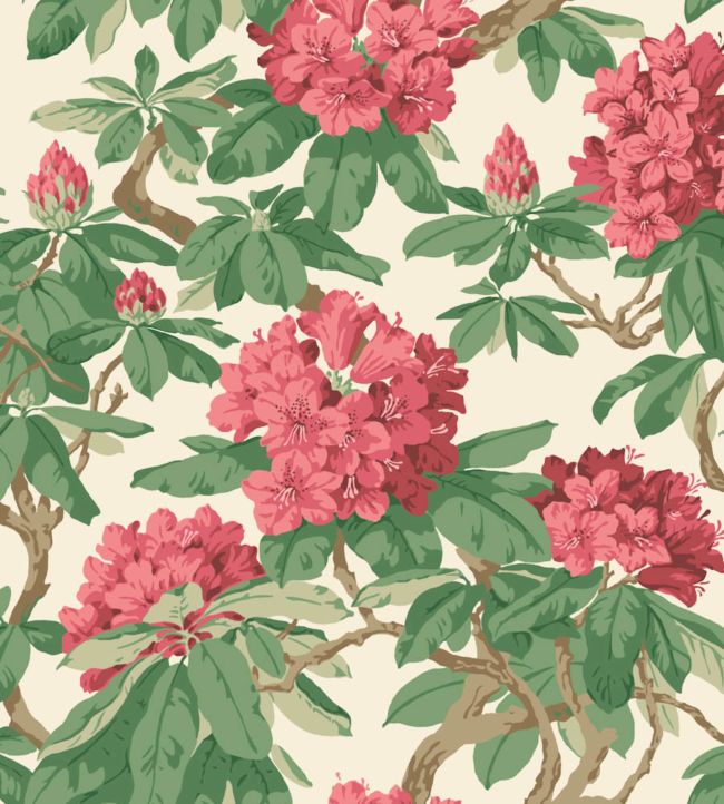 Bourlie Wallpaper - Cerise, Leaf Green on White - 99/4019 - Cole & Son - Premier Wallcovering