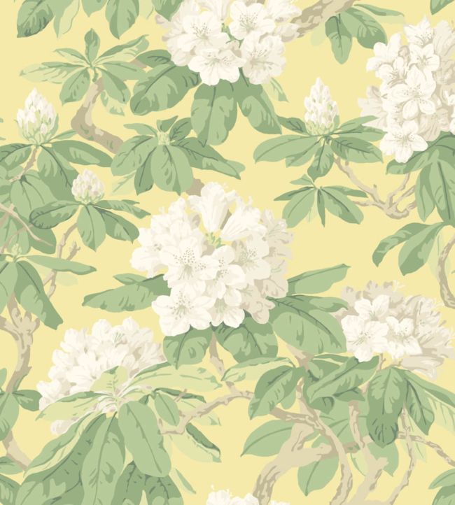 Bourlie Wallpaper - White, Leaf Green on Lemon - 99/4021 - Cole & Son - Premier Wallcovering