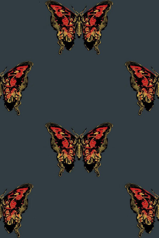 Butterfly Wallpaper - Red & Gold on Black - Timorous Beasties - EX/BFLY/4007/01 - Premier Wallcovering