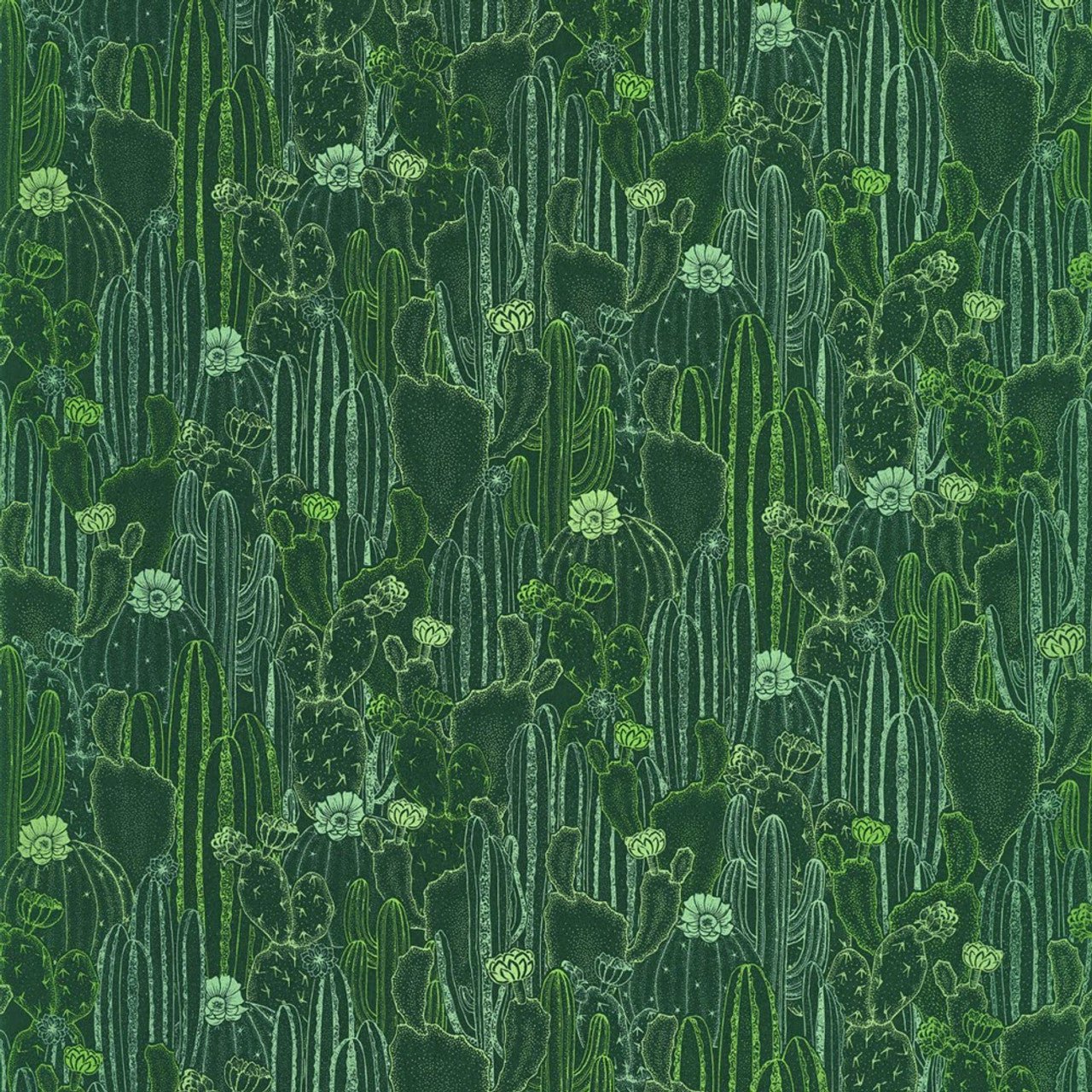 Cactaceae Botanica Wallpaper - Vert Cactee - Casadeco - 85927429 - Premier Wallcovering