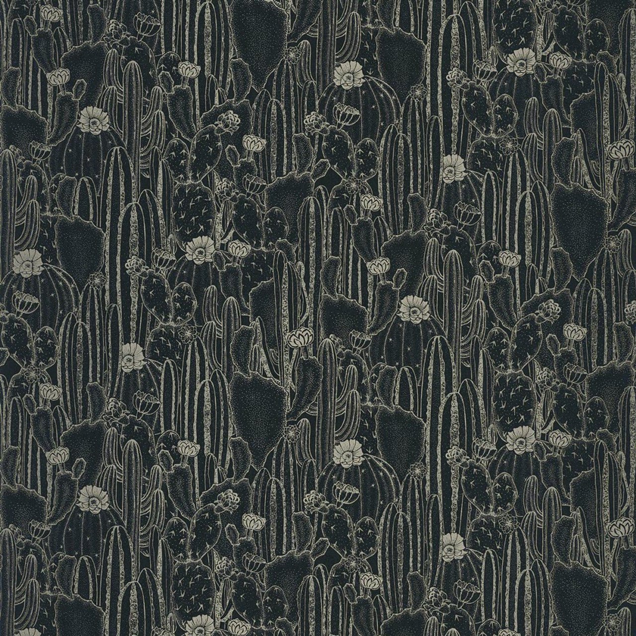 Cactaceae Botanica Wallpaper - Noir - Casadeco - 85929512 - Premier Wallcovering