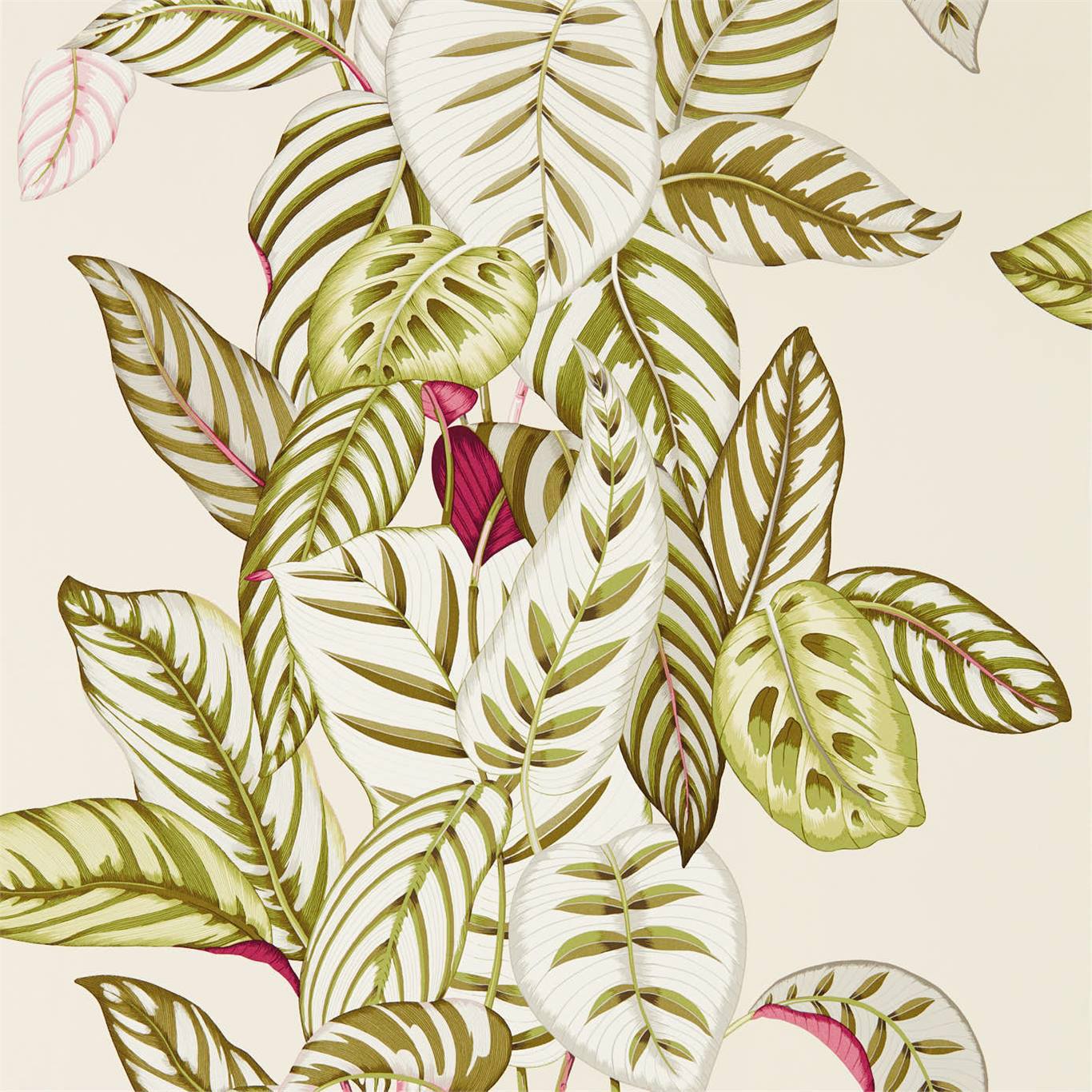 Calathea Wallpaper - Olive - Sanderson - DGLW216631