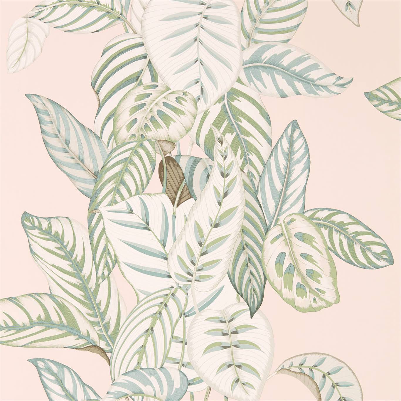 Calathea Wallpaper - Orchid/Eucalyptus - Sanderson - DGLW216632
