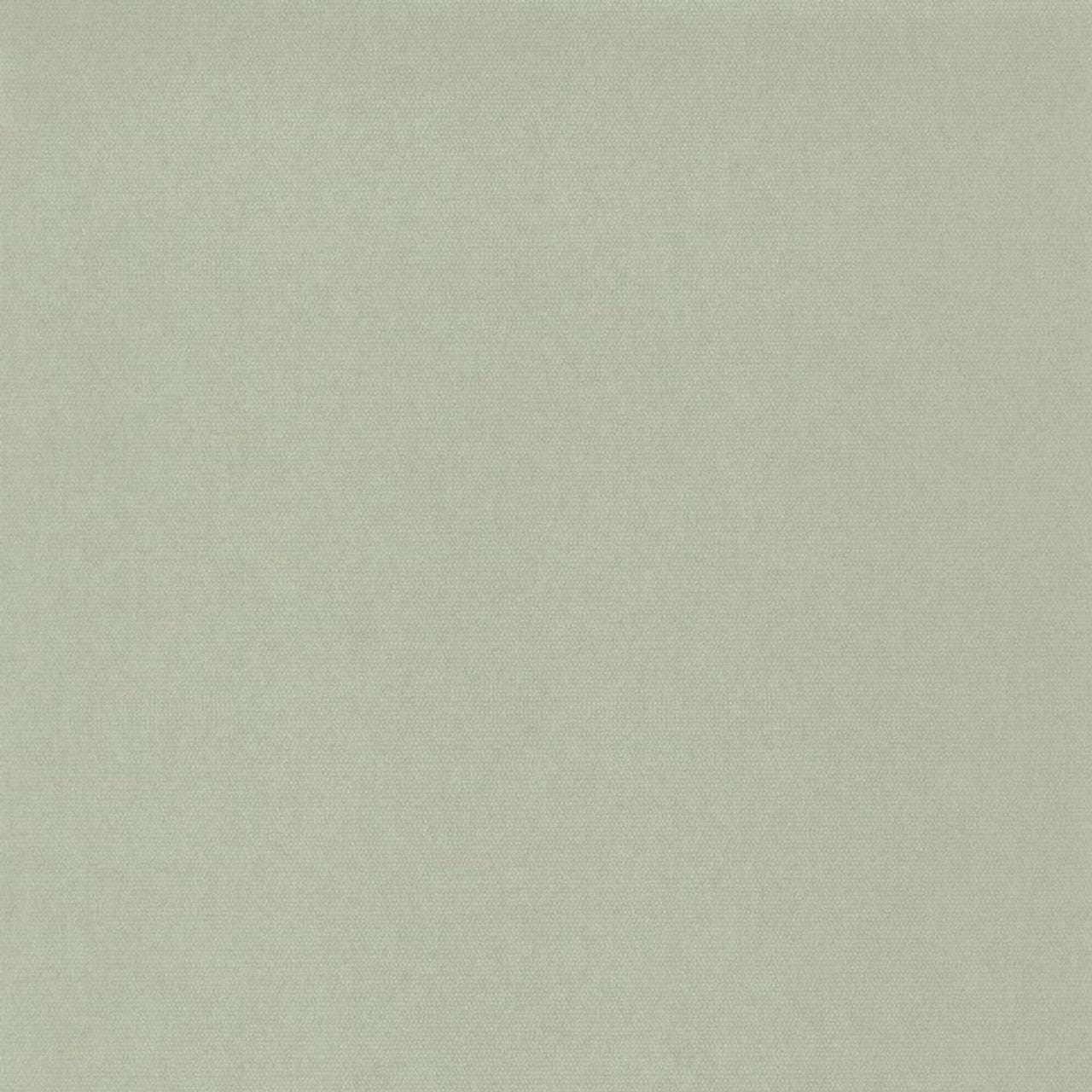 Canevas Botanica Wallpaper - Uni Amande - Casadeco - 82077159 - Premier Wallcovering