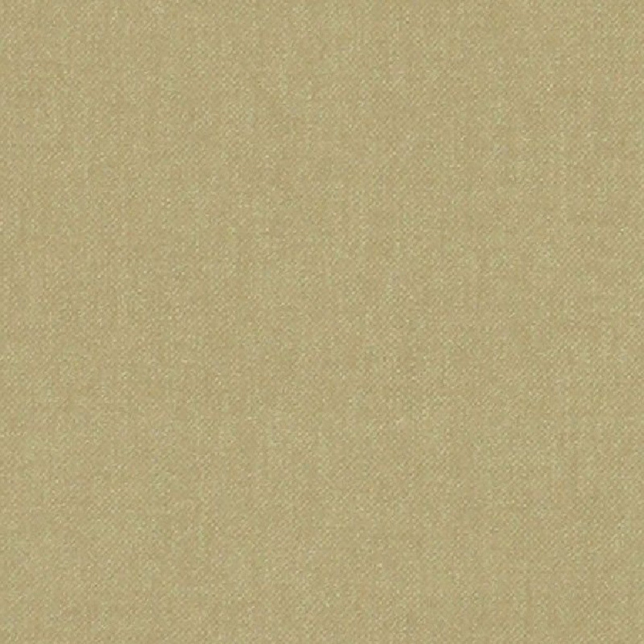 Canto Wallpaper - Gold - Nina Campbell - NCW4036 - 07 - Premier Wallcovering