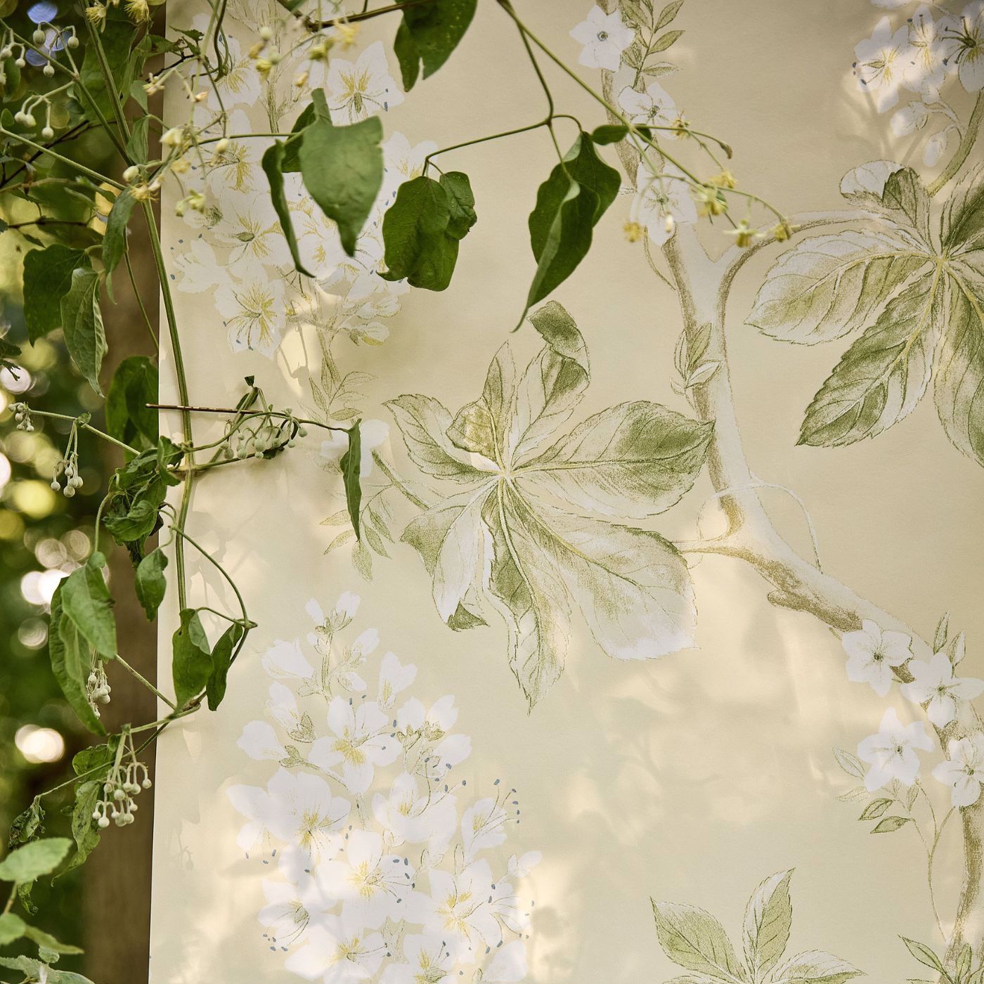 Chestnut Tree Wallpaper - Lemon/Lettuce - Sanderson - DWOW215707
