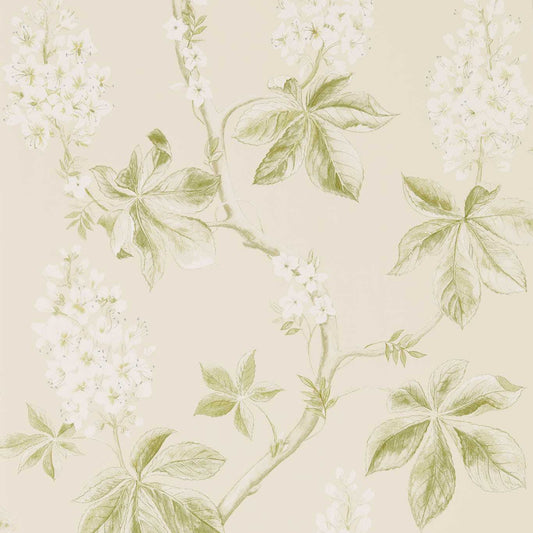 Chestnut Tree Wallpaper - Lemon/Lettuce - Sanderson - DWOW215707