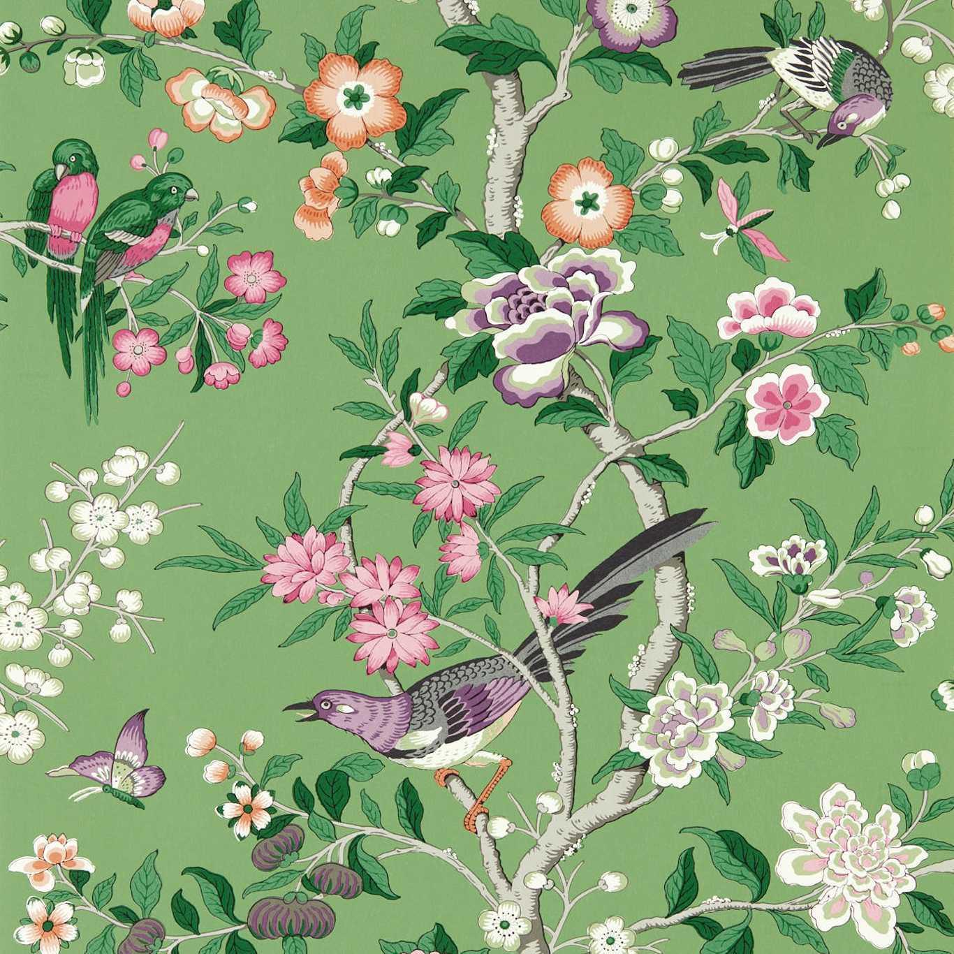 Chinoiserie Hall Wallpaper - Chinese Green/Lotus Pink - DWAW217110 - Sanderson