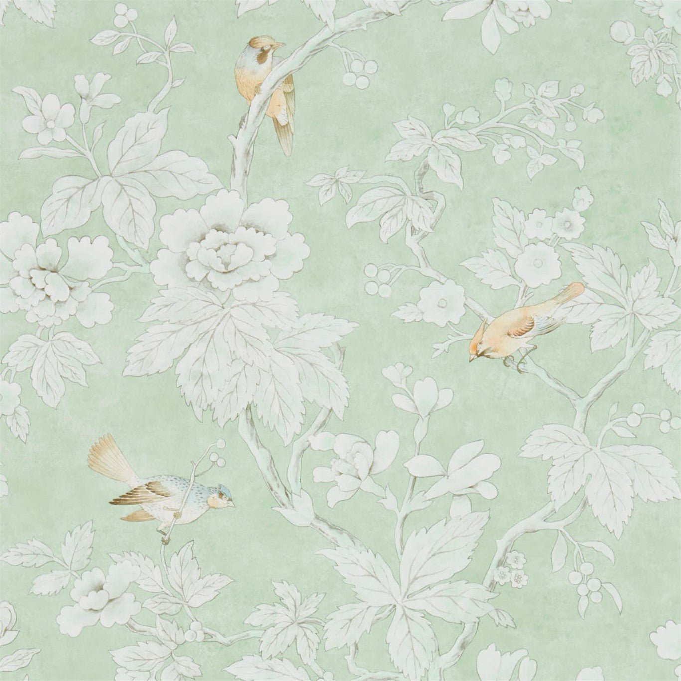 Chiswick Grove Wallpaper - Sage - Sanderson - DDAM216387