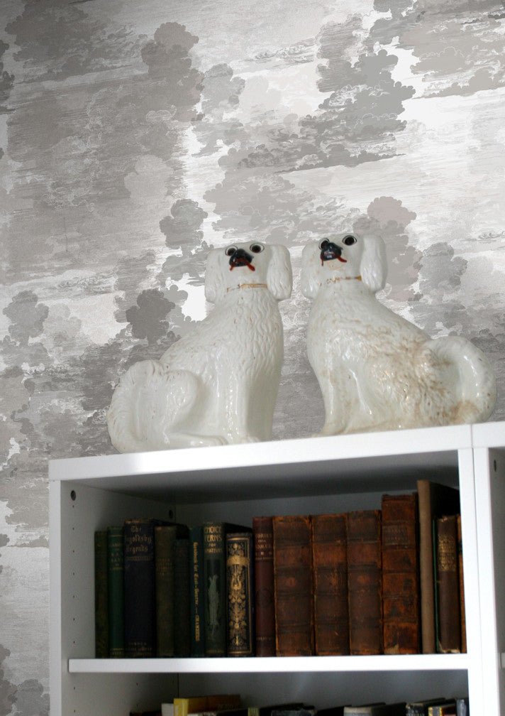 Cloud Toile Wallpaper - Grey - Timorous Beasties - TB/CTOIL/MICA/02 - Premier Wallcovering